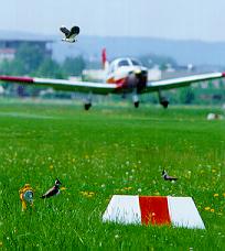 Flight weather forcast