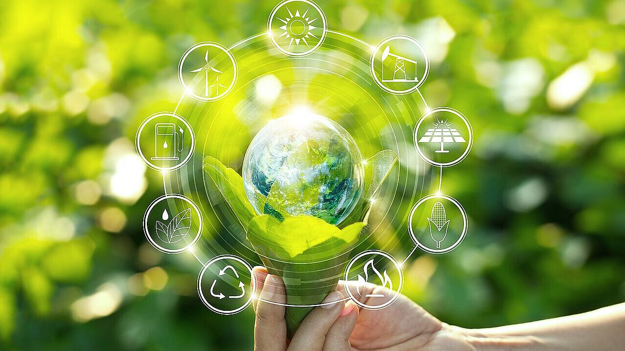 Nachhaltige Unternehmen, Weltkugel vor grünen Blättern