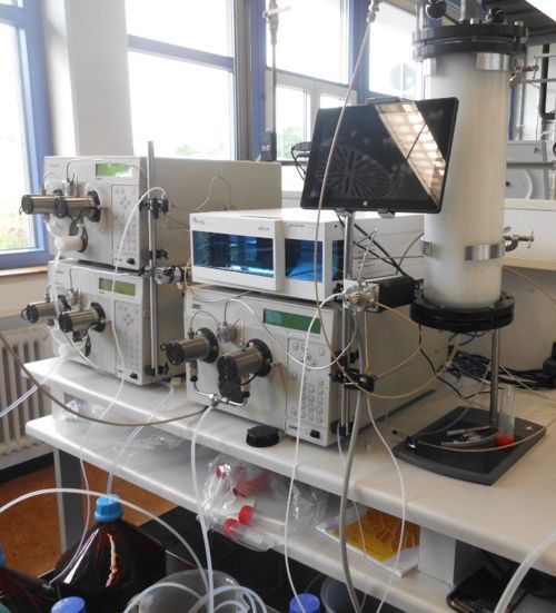 Picture of Varian PrepStar HPLC system and 10 L CEX column