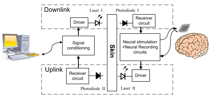 Figure - Block Diagram of the bidirectional optical transcutaneous link for brain machine interfaces