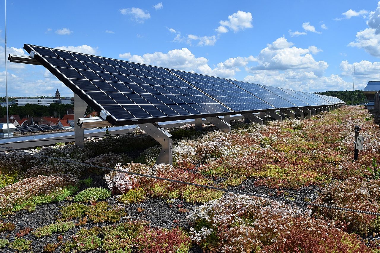 Bild mit Photovoltaikanlage in Kombination mit Dachbegrünung