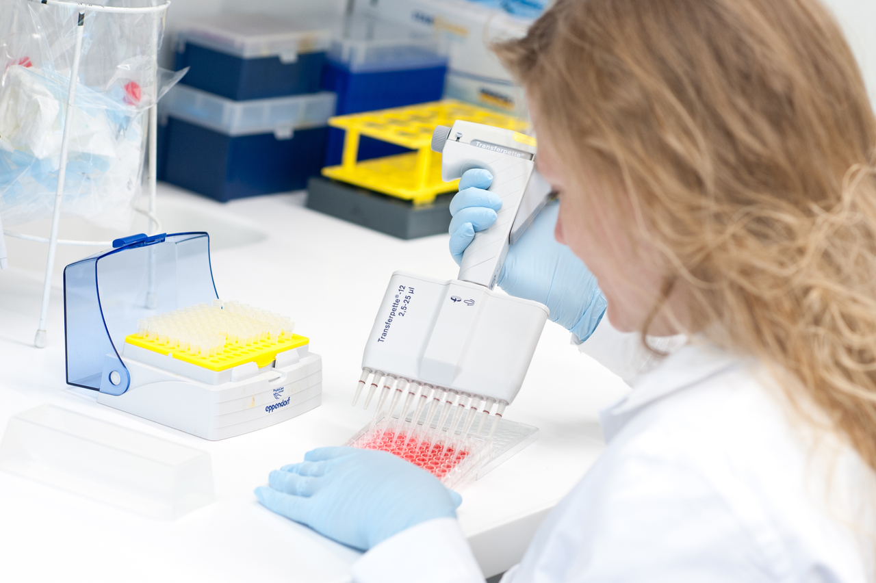 Elisa Proteinanalyse Foto Elisa Proteinanalyse