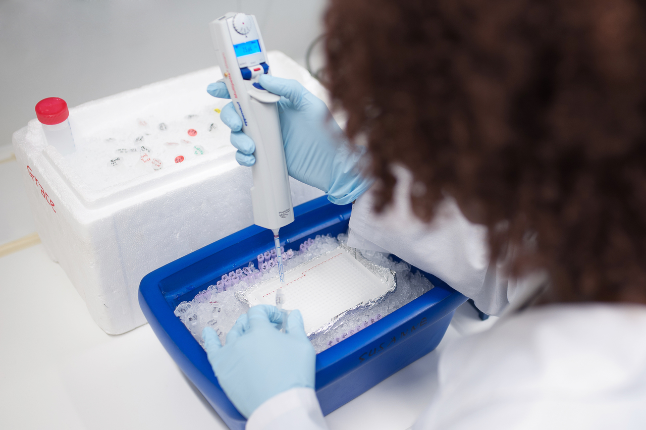 Quantitative Bestimmung von mRNA Expression Foto Quantitative Bestimmung von mRNA Expression