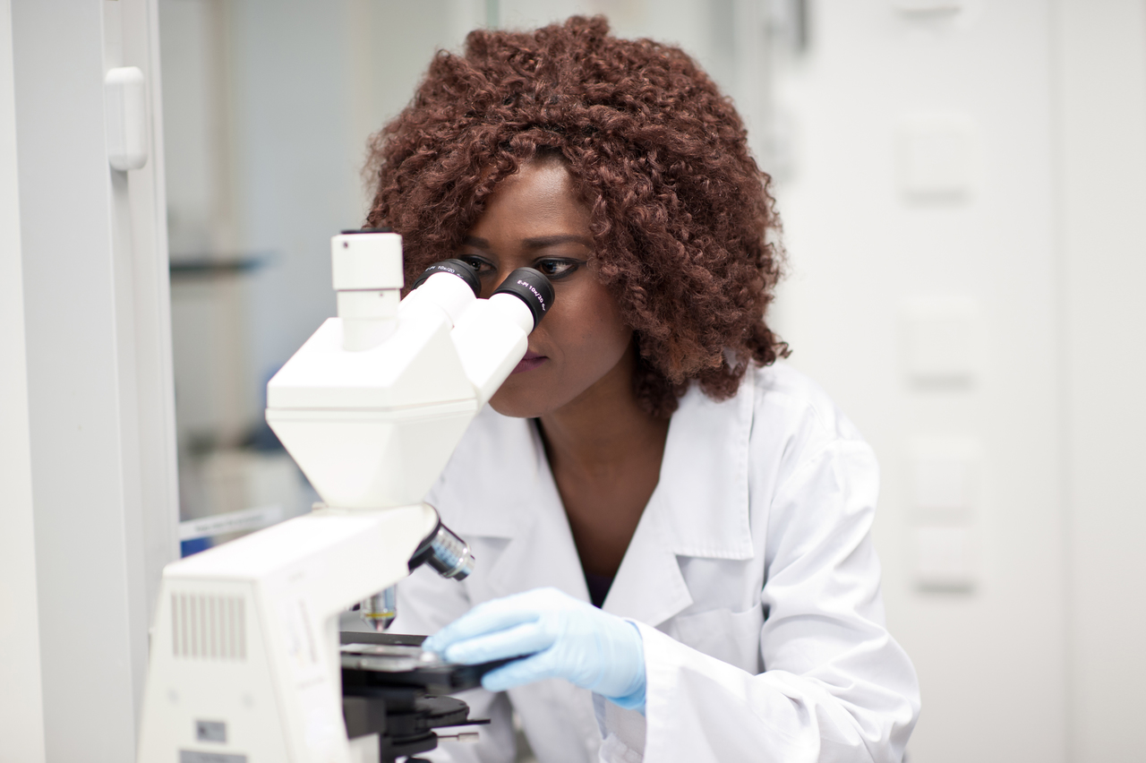 Mikroskopie von histologischen Schnitten Foto Mikroskopie von histologischen Schnitten