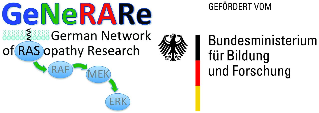 Logo Deutsches Forschungsnetzwerk für RASopathien gefördert vom Bundesministerium für Bildung und Forschung