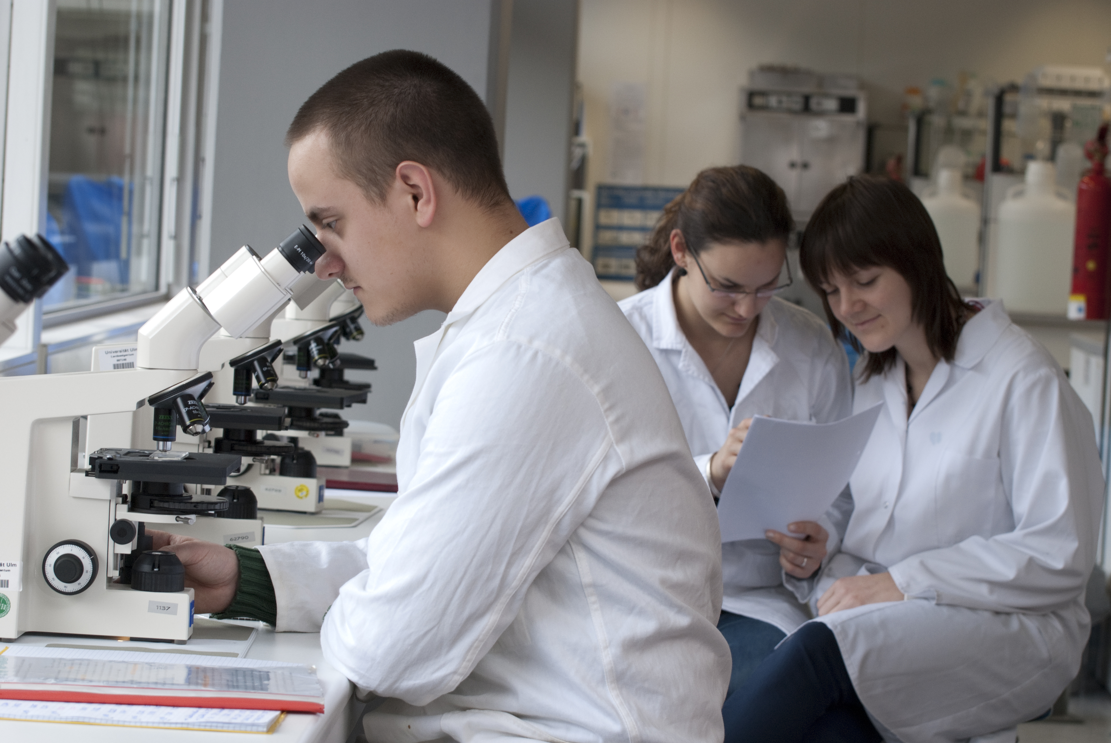 Studierende im Labor: am Mikroskop und beim Abgleich von Aufzeichnungen