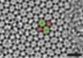 Aufnahme: Uni Ulm / Koloration Cornell Elektronenmikroskopische Aufnahme: Die Atomstruktur von Glas gleicht einem unregelmäßigem Netz verschiedener Polygone. Die Wissenschaftler konnten zeigen, wie sich bei der Deformation Atome aus einem Feld aus Fünf- und Siebenecken zu einer Konstellatio