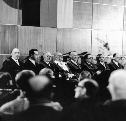 The founding professors: from left Werner Zeil, Theodor M. Fliedner, Emil Tonutti, Ludwig Heilmeyer, Thure von Uexküll, Ernst Friedrich Pfeiffer, Karl Knörr and Hans Helmut Kornhuber