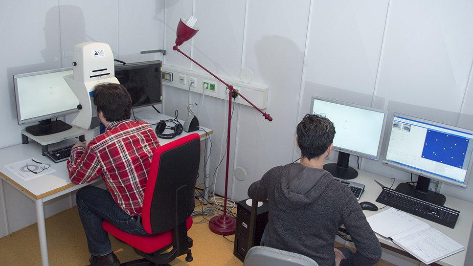 Test persons in our Eyetracking Lab