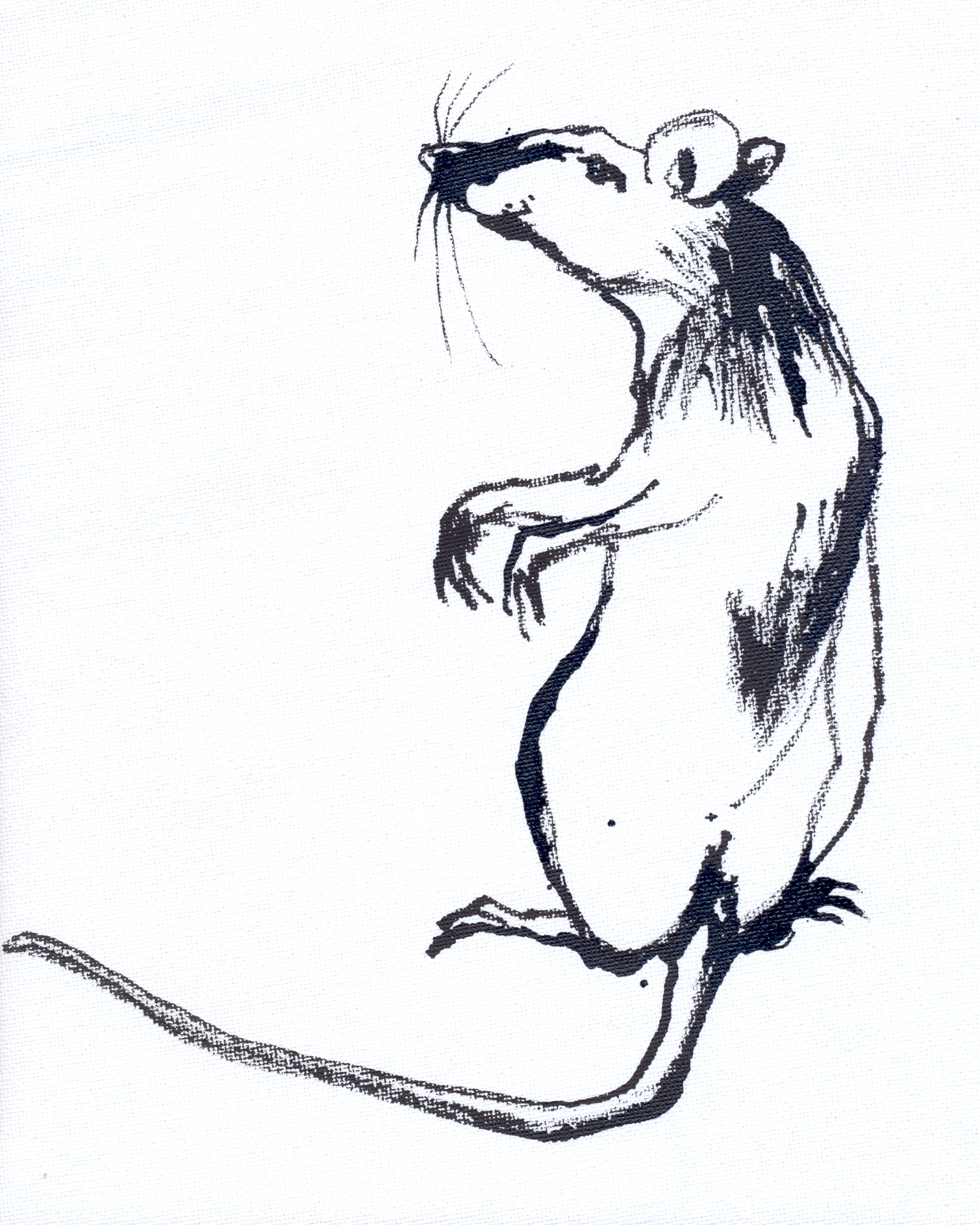 Kohlezeichnung: Ratte, die Männchen macht