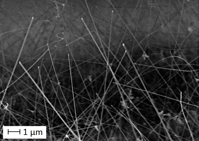 Foto: S. Jäger, Uni Ulm Silizium-Nanodrähte: 500 Mal dünner als ein Haar
