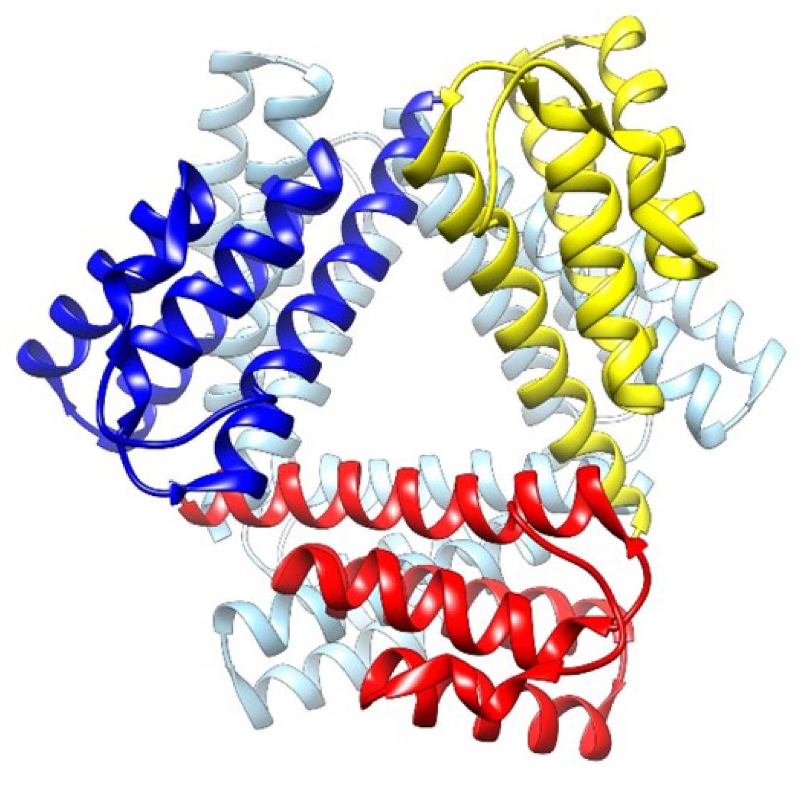 Photo shows systematic amyloidosis