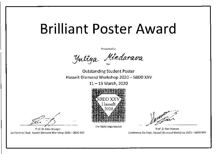 Picture of Brilliant Poster Award certificate