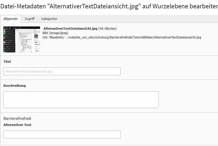 Zeigt das Menü in dem der alternative Text gesetzt werden kann.