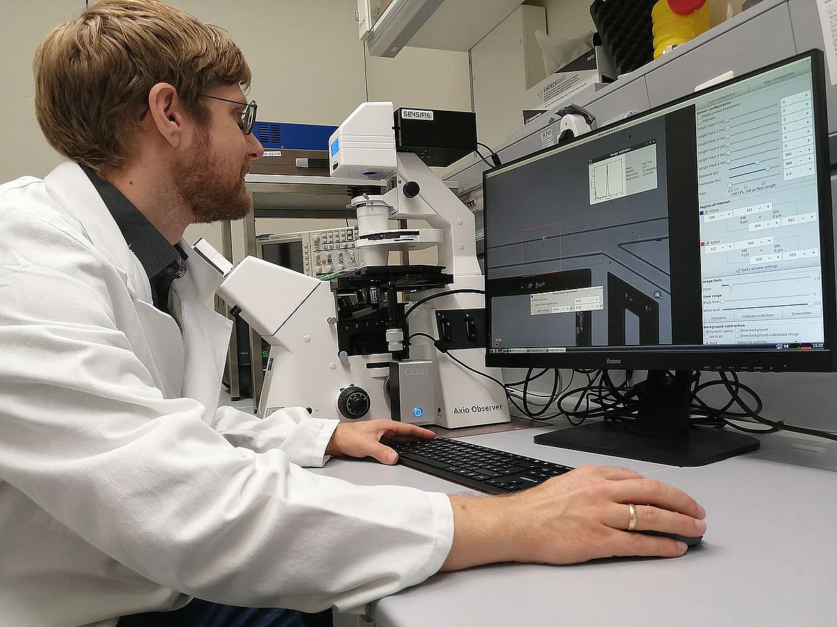 Wissenschaftler am Mikroskop