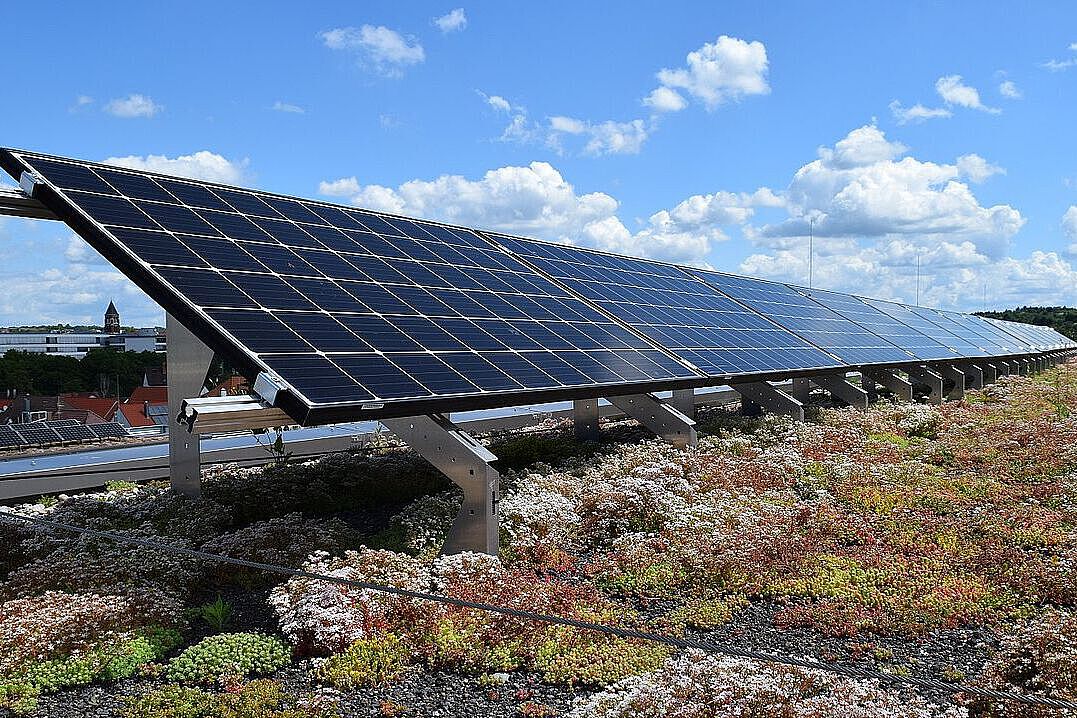 Photovoltaik und Dachbegrünung, Foto: Bundesverband Gebäudegrün, BuGG