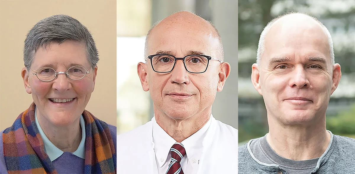 Dr. Dr. Kelly Del Tredici, Prof. Hartmut Döhner und Prof. Frank Kirchhoff (v.l.) 