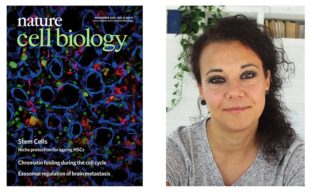 Titelbild auf Nature Cell Biology 