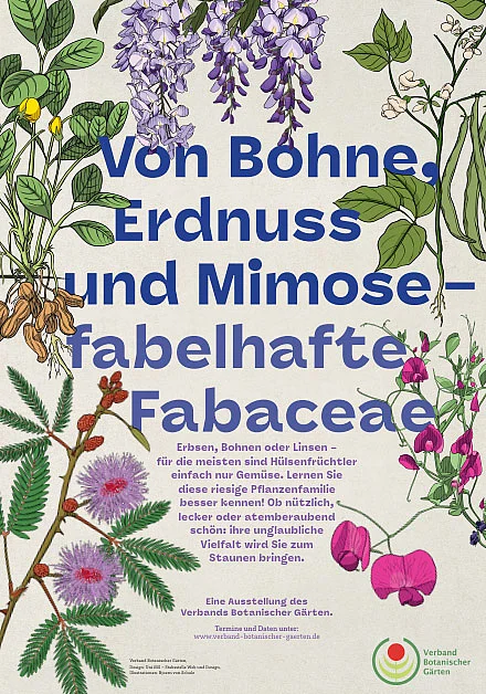 Ankündigungsplakat Fabaceae-Ausstellung 