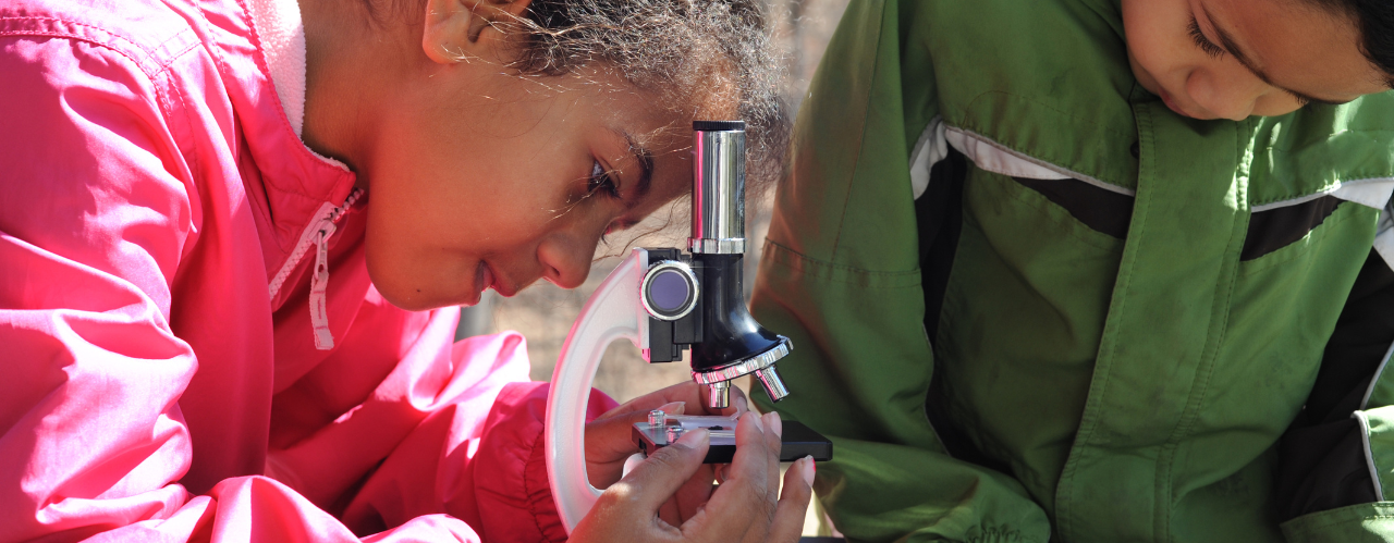 Ein junges Mädchen mit pinker Jacke schaut freudig durch ein kleines Mikroskop. Rechts neben ihr ist ein Junge im selben Alter zu sehen, der einen Gegenstand in seinen Händen zu untersuchen scheint, der aber abgeschnitten ist. Die zwei Kinder befinden sich anscheinend auf einer trockenen Wiese oder etwas Ähnlichem