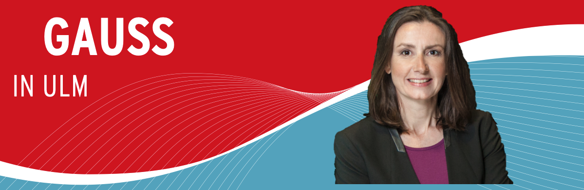 Plakat zum Gaussvortrag