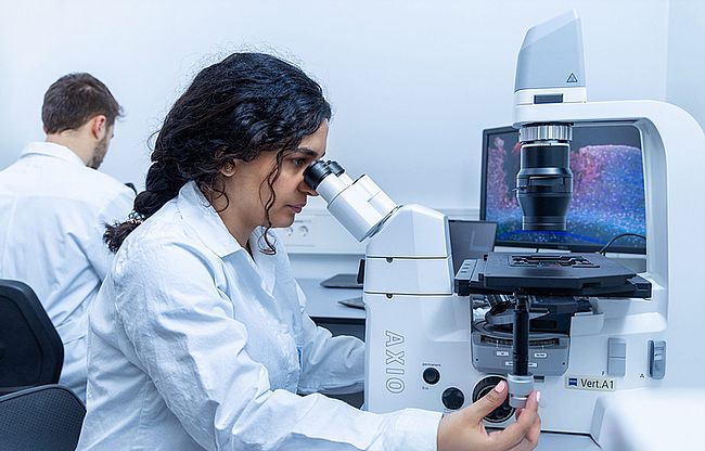 Molecular and Translational Neuroscience