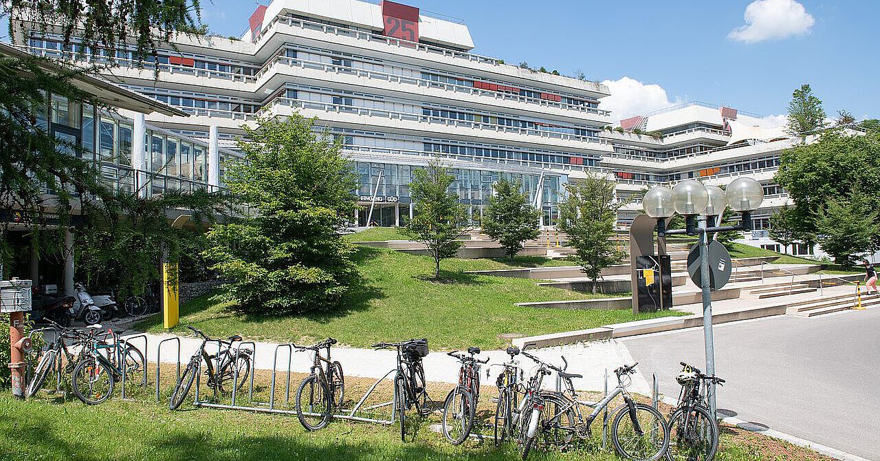 uni ulm phd positions