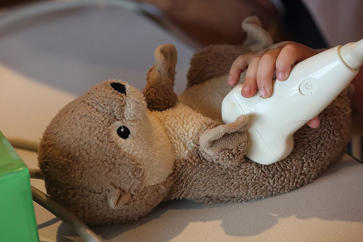 Ein Plüschotter wird in der Ulmer Teddyklinik untersucht