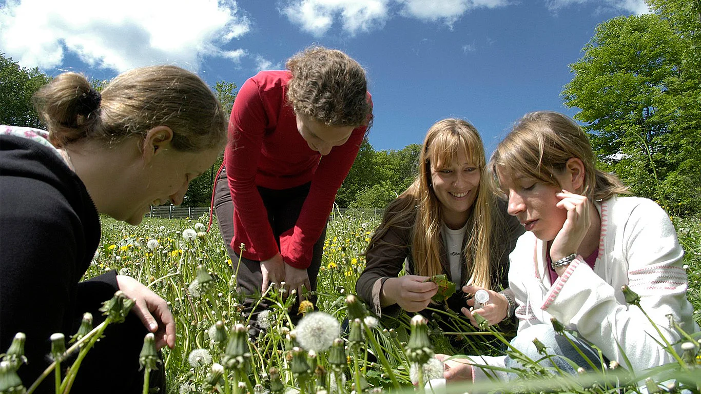 Studierende untersuchen Blumen auf einer Wiese