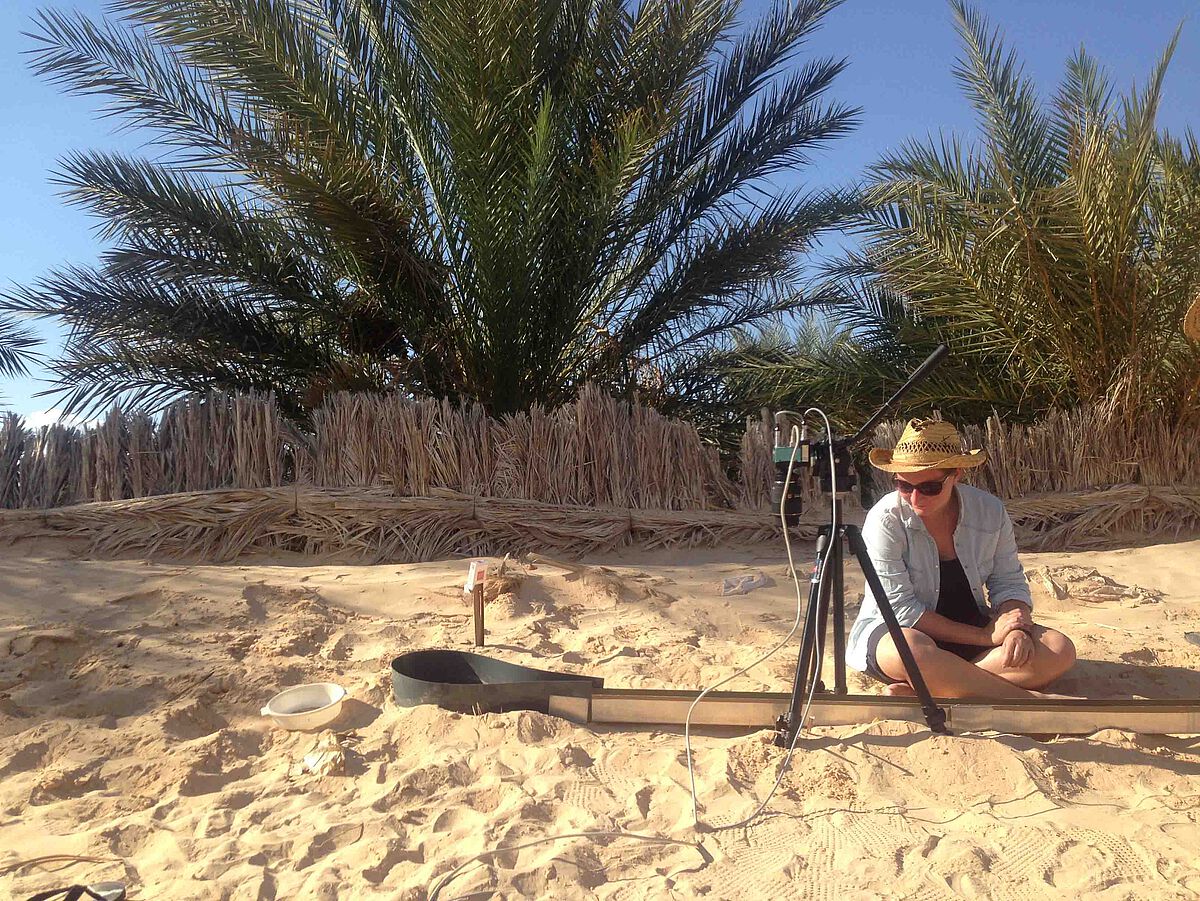 Rennstrecke für Silberameisen in der Wüste (Foto: Dr. Sarah Pfeffer)