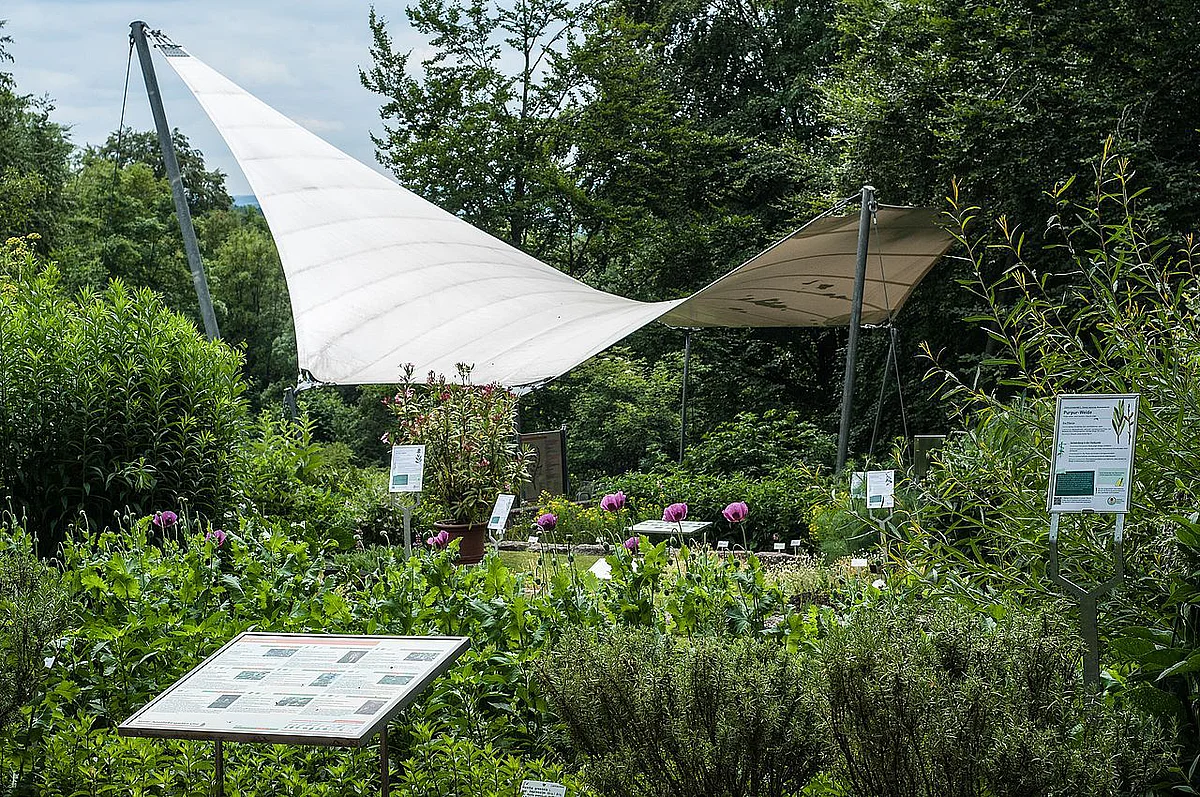 Apothekergarten 