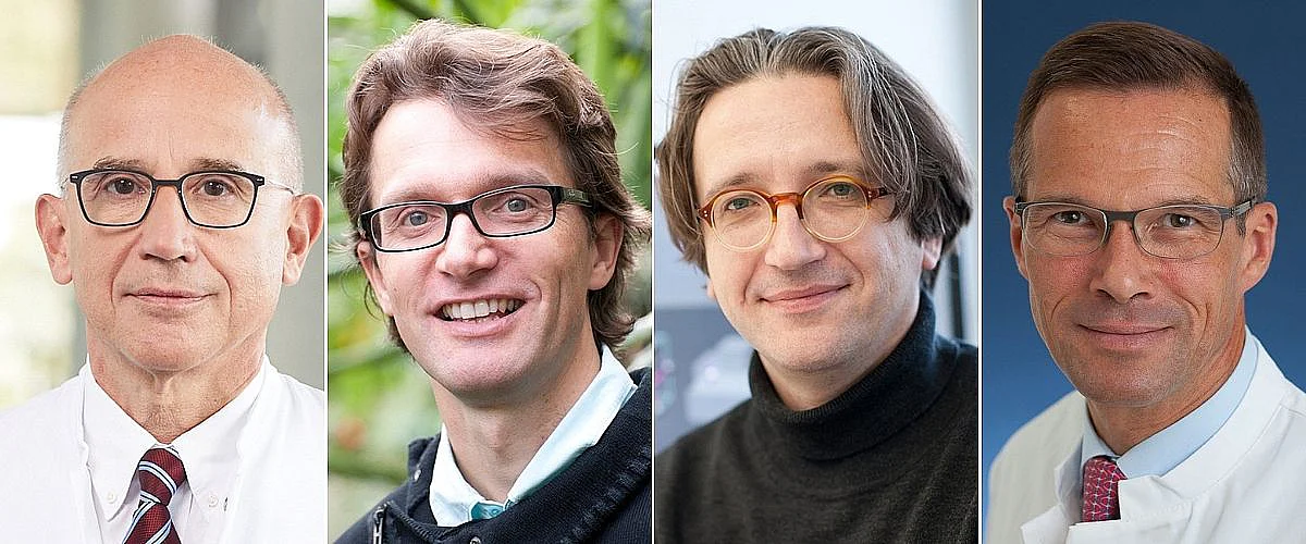 Gelten als besonders einflussreiche Forscher: die “Highly Cited Researchers 2025“ der Uni Ulm: Prof. Hartmut Döhner, Prof. Steven Jansen, Prof. Fedor Jelezko und Prof. Stephan Stilgenbauer (v.l.)