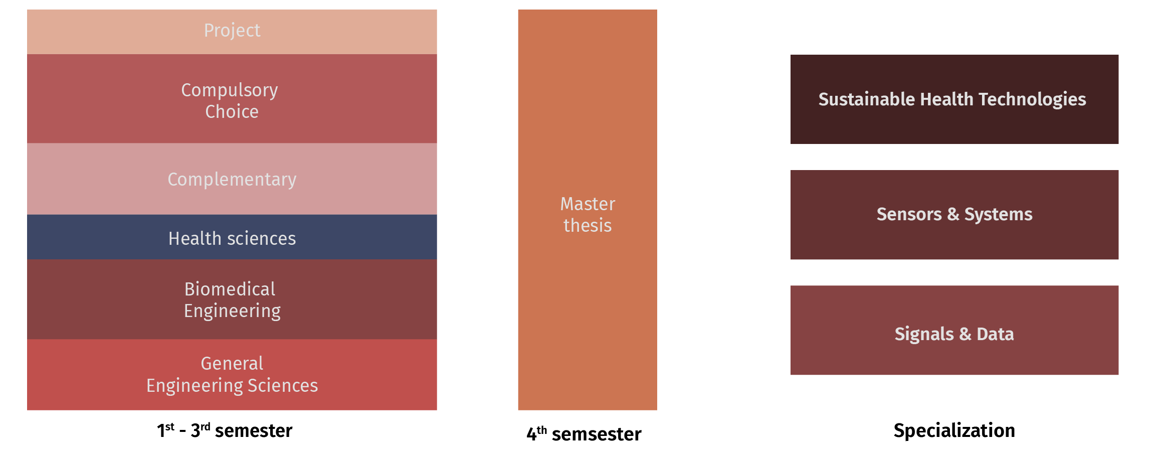 Study Plan overview MSc BMT