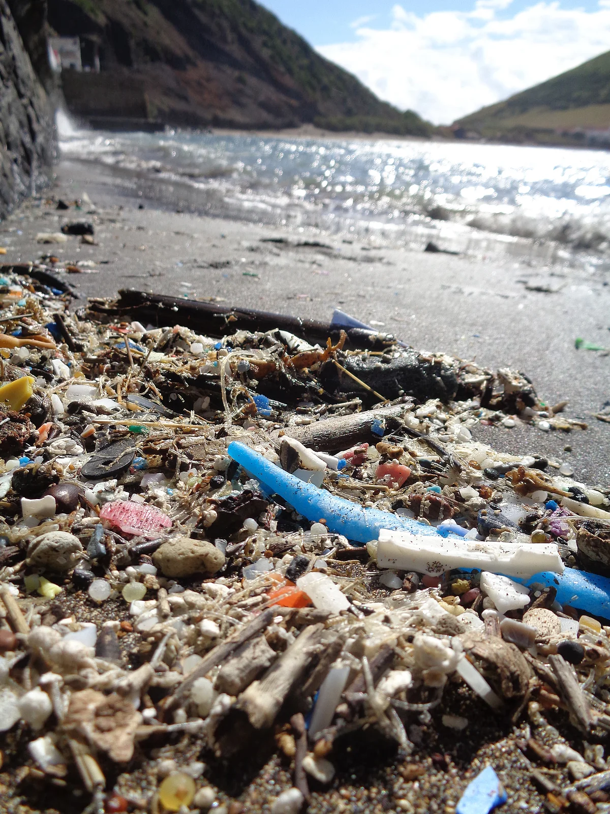 Plastik- und Mikroplastik-Verschmutzung 