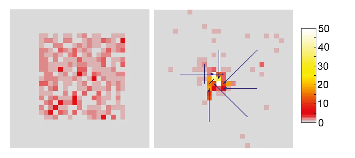 Computersimulation der Polarisombildung.