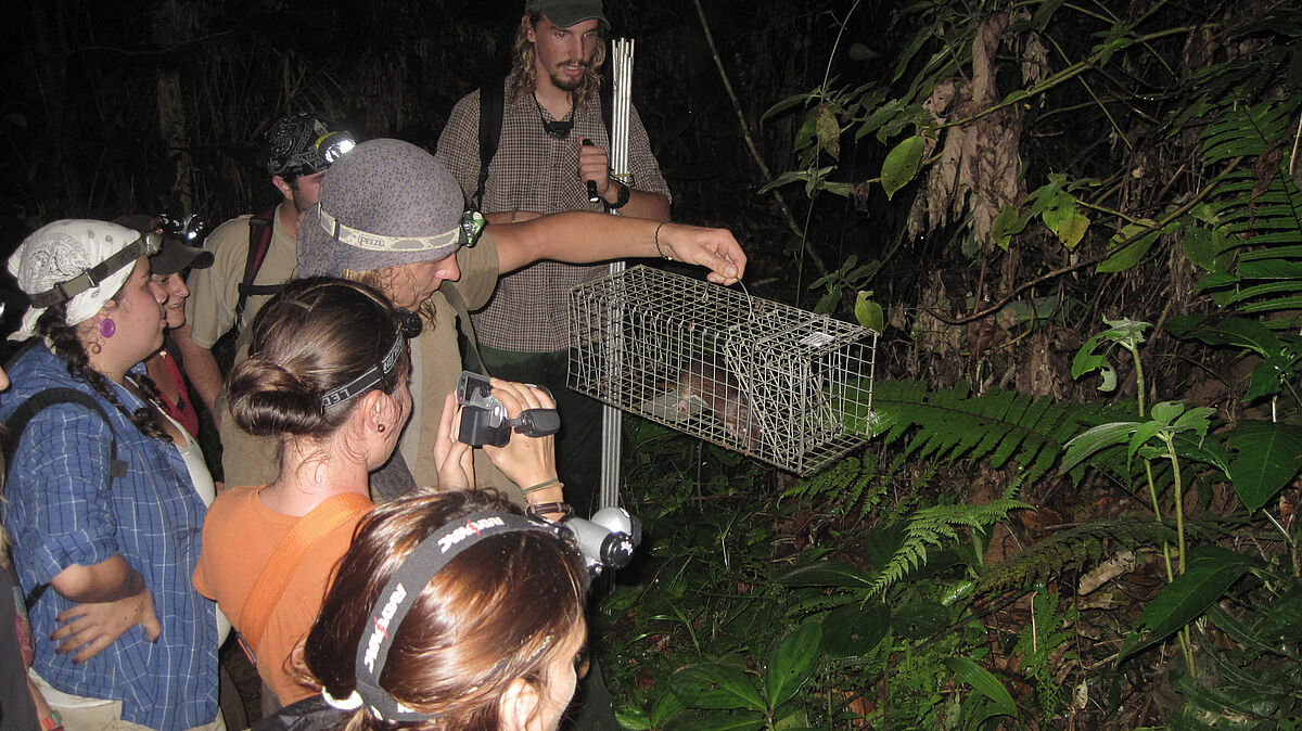 Nächtliche Exkursion im Barbilla Nationalpark in Costa Rica: 
Prof. Bernal Rodriguez mit einer Stachelratte in der Lebend-Falle 
