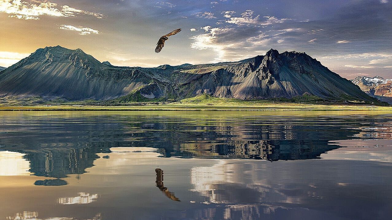 Ein Adler fliegt über einen Bergsee als Symbol für barrierefreie Nutzung von Webseiten 
