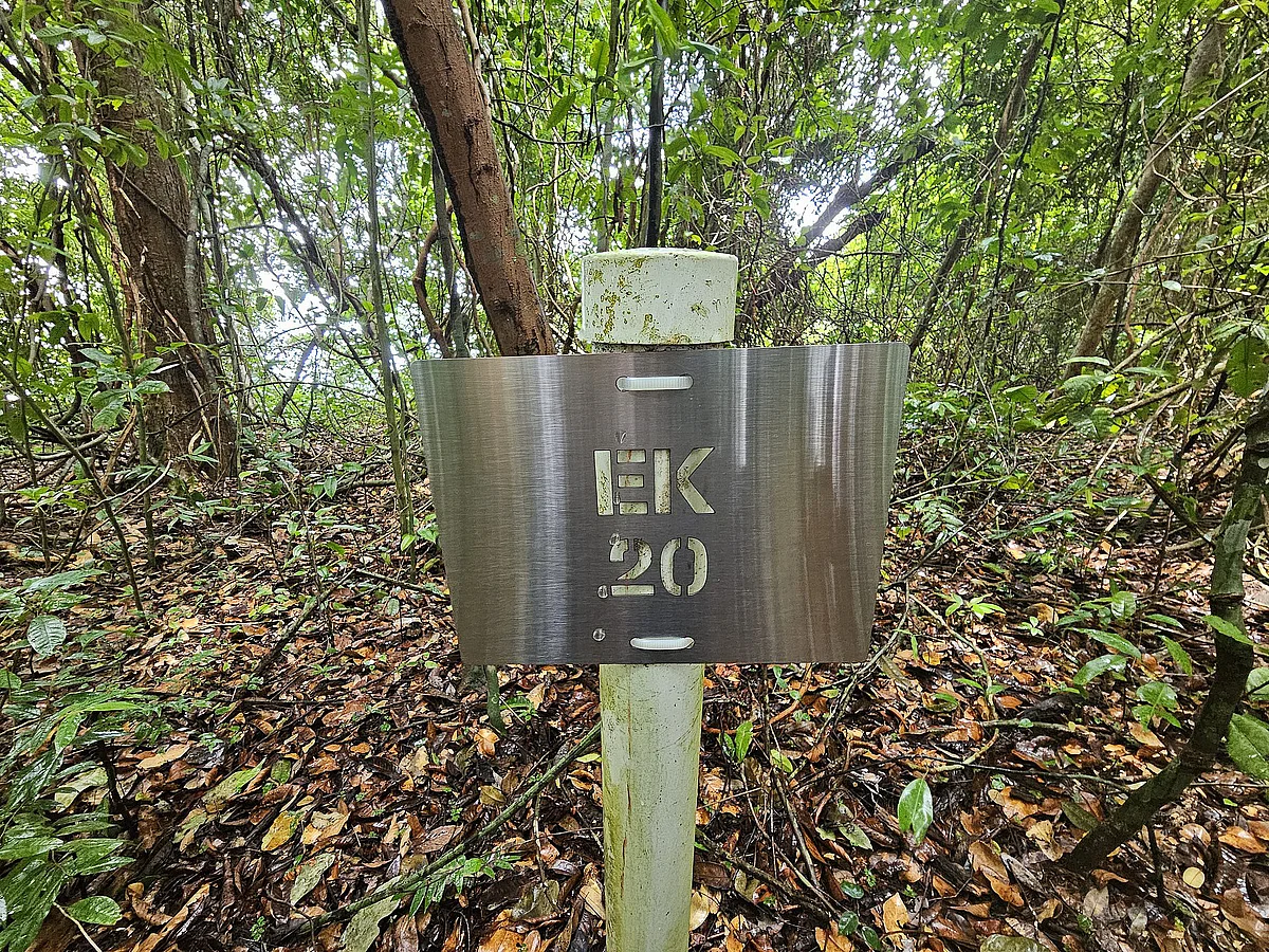 Wegmarke Elisabeth Kalko Trail