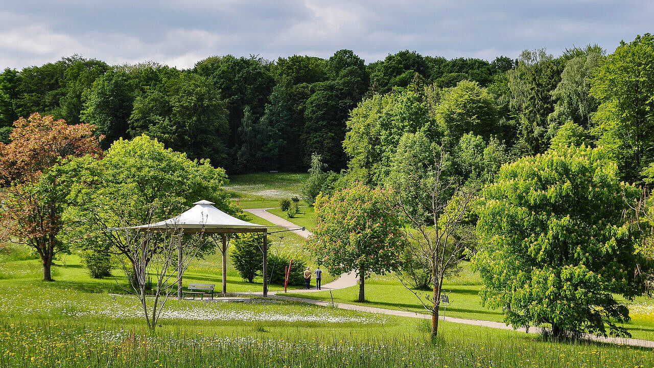 Blick auf das Arboretum