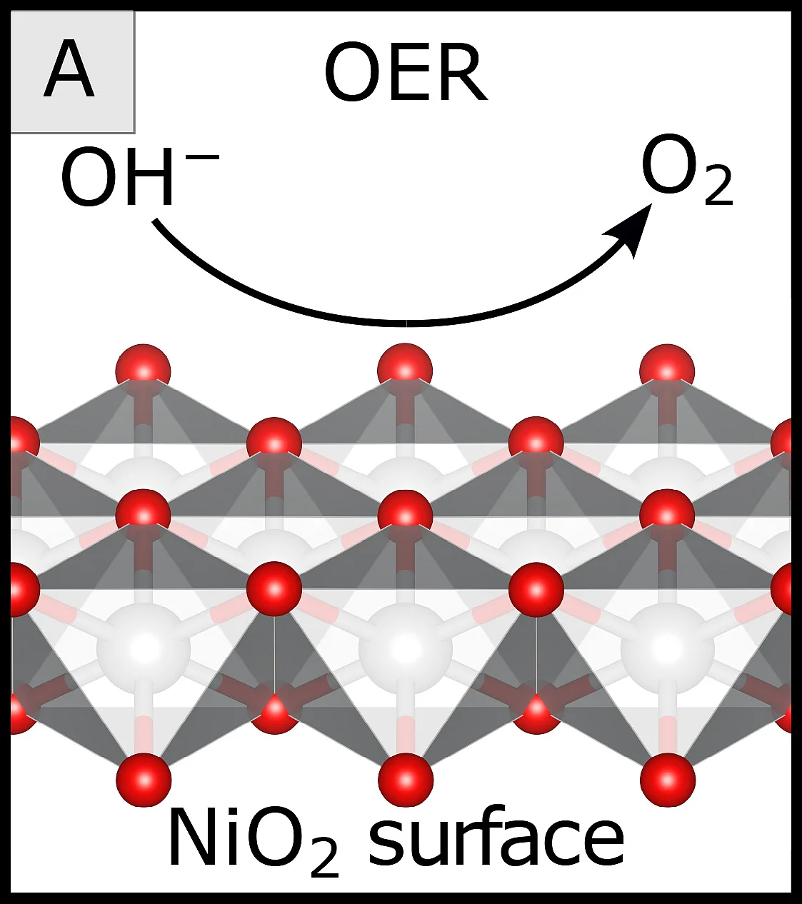 Schematische Darstellung der alkalischen Sauerstoffentwicklung an Nickeldioxid