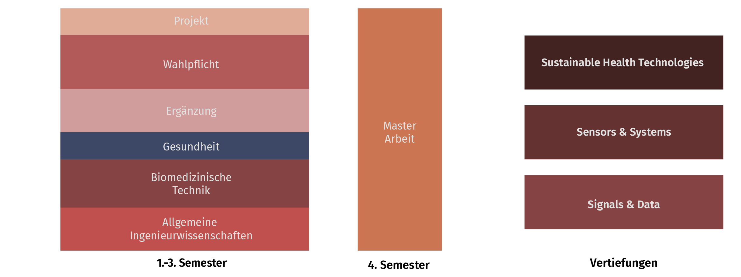 Studienplan MSc Medizintechnik Uni Ulm