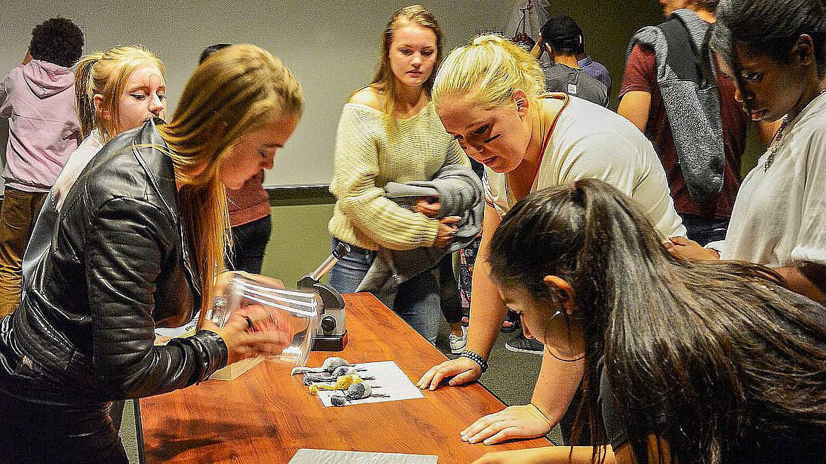 Im Escape Room müssen alle zusammenarbeiten. Ist ein finanzieller Bonus im Spiel, steigert das die Leistung (Foto: Joe Crowley Student Union - UNR)