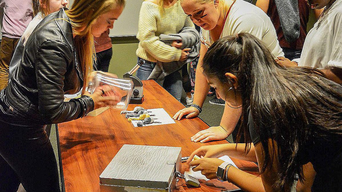 In escape rooms, everyone has to work together. A financial bonus increases performance (Photo: Joe Crowley Student Union - UNR)