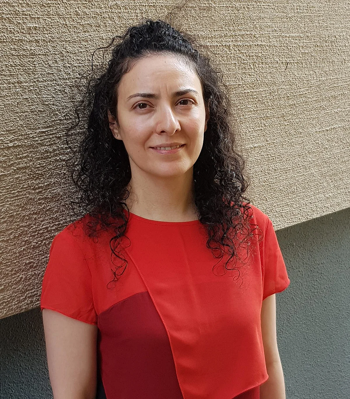 Jun.-Prof. Dr. Ani Grigoryan