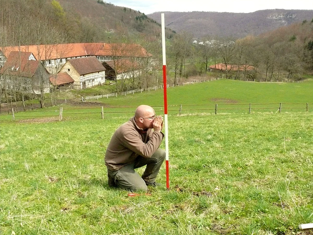 In den drei Biodiversitätsexploratorien erheben Wissenschaftler Daten für ihre Forschungsprojekte