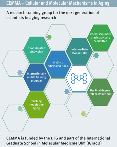 Full article: Different Generating Mechanisms for the Summer