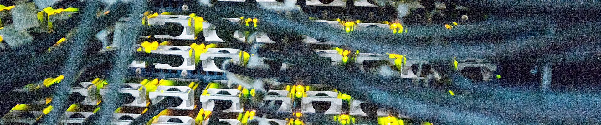 Serverrückseite mit sauberem Kabelmanagement