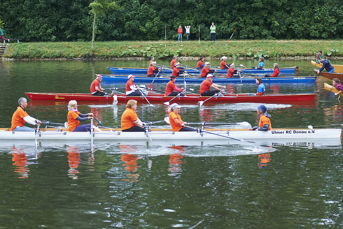 Ruderer auf der Donau