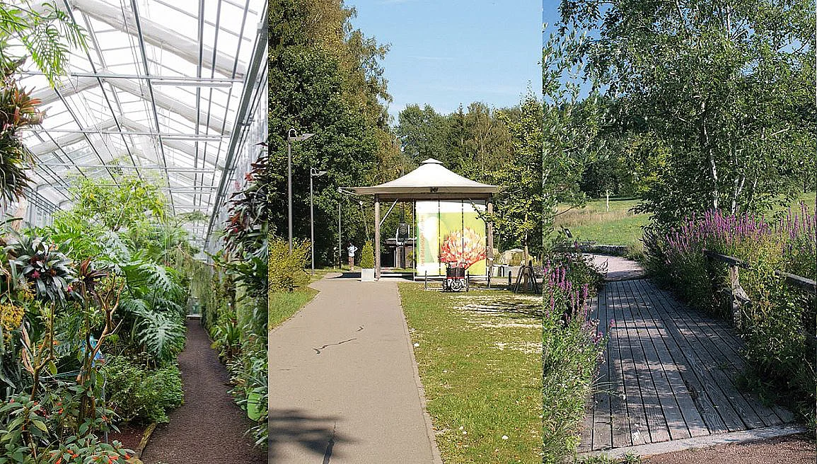 Gewächshaus, Garten, Natur