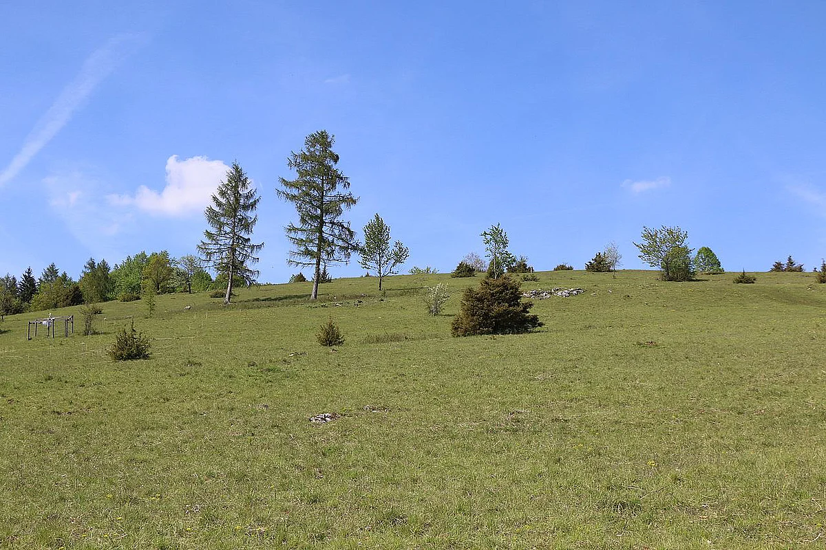 Typische Landschaft auf der Schwäbischen Alb
